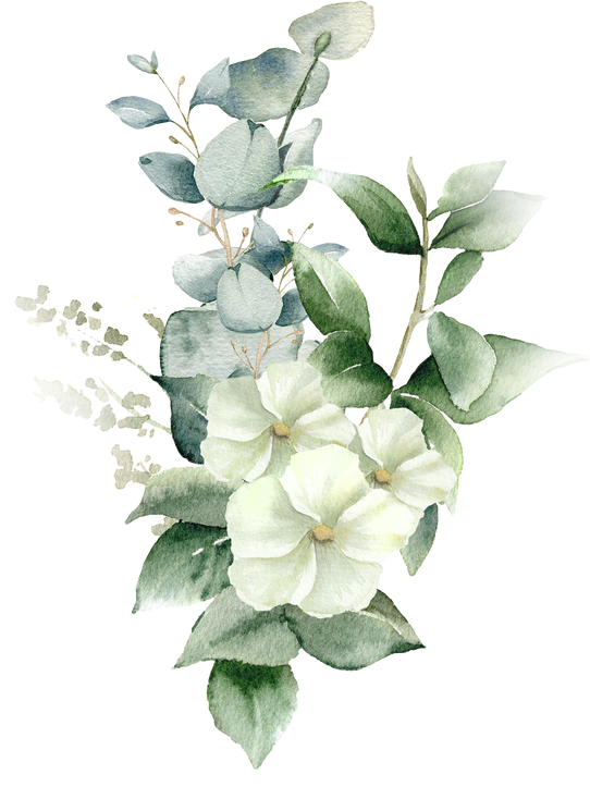 Watercolor eucalyptus bouquet with jasmine flower