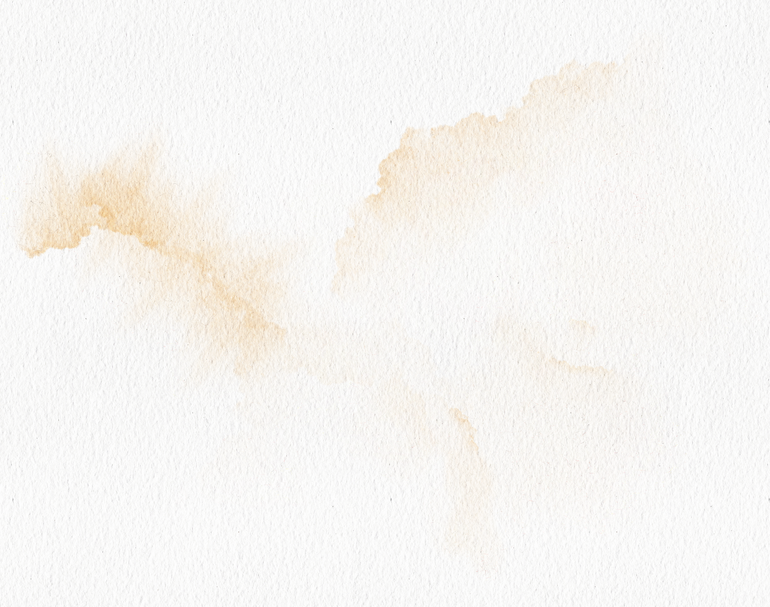 Gradient Watercolor in White